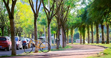 Campus Scenery